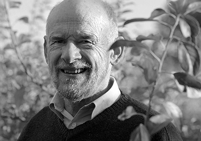 Meinolf Hammerschmidt