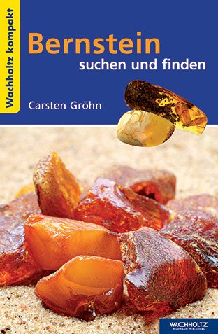 Carsten Gröhn: Bernstein suchen und finden KOMPAKT 
